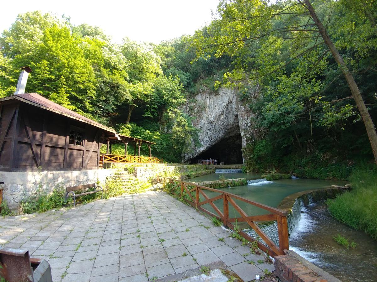 Apartment Domacinstvo Nikolic *